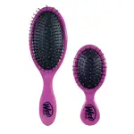 ❰現貨在台❱⚡️- 美國🇺🇸 WET BRUSH 2 PIECE INTELLIFLEX梳具2件組