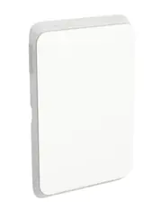 Clipsal Iconic 3040-VW - Blank Plate Vertical/Horizontal Mount - (Vivid White)