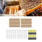 Complete Bee Queen Rearing Cup Kit System Beekeeping Set Tools NEW Catcher O7T7