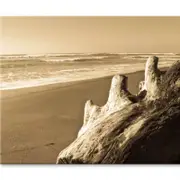 Old Log Driftwood Washed Up on Beach Print 100% Australian Made 120 x 90cm (Stretched)