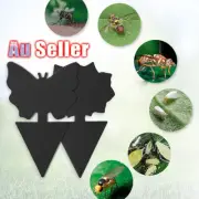 6/24x Dual Sided Sticky Trap Insect Killer Whitefly Thrip Fruit Fly Gnat AU