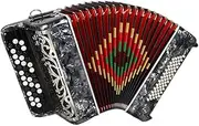 37 Keys/60 Bass Accordion 2 Reeds Beginner/Exam/Professional/Performance/Teaching Instrument with Double Shoulder Strap + Storage Bag