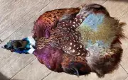 Rooster RINGNECK PHEASANT SKIN No Wings No Tail FLY TYING CRAFTS Fly Fishing