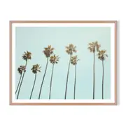 Palm Drive Framed Printed Wall Art - Timber