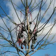 MOBY THE POISON TREE [SINGLE] NEW VINYL