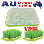 Microgreens tray, Seeding Cloning Hydroponic Germination Bean Sprout Planting