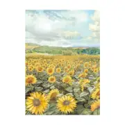 Stamperia Assorted Rice Paper Backgrounds A6 8/Sheets-Sunflower Art