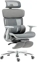 Ergolux Pro Max Ergonomic Mesh Office Chair with Footrest (Grey) - ELMAXERGFGA