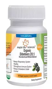 ORGANIC Elderberry 20:1 Extract Capsules Boosts Immunity Cardiovascular health