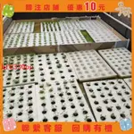 【九月的精品小屋】40孔水上種植漂浮板水培蔬菜定植板溫室無土栽培設備水耕種菜浮床#HF0330PP