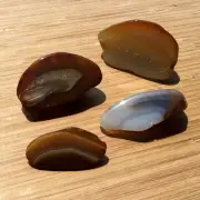 4 Polished Geode Rock Slices Natural Banded Agate Crystal Rounded End Cut Stones