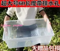 在飛比找樂天市場購物網優惠-超大號特大號烏龜缸帶排水塑料大型龜箱水陸缸烏龜飼養箱 mas