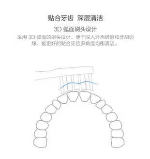 米家聲波電動牙刷頭 通用型 3支裝