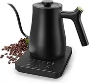Electric Gooseneck Kettle, 5 Variable Precise Temperature Control, 2H Keep Warm, Stainless Steel Inner, Quick Heating, for Pour Over Coffee, Brew Tea, Boil Hot Water, Boil-Dry Protection, 0.8L, Black