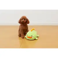 在飛比找蝦皮購物優惠-貝果貝果 日本 BONBI 狗狗 抱枕系列 [T2876]