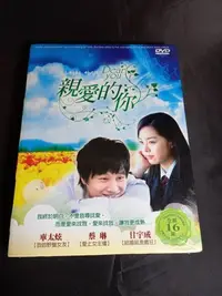 在飛比找Yahoo!奇摩拍賣優惠-經典韓劇《親愛的你》DVD (全劇16集) 車太炫(與神同行