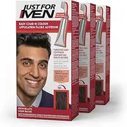 Just For Men Easy Comb-In Color (Formerly Autostop) Mens Hair Dye, Easy No Mix Application - Rich Black, A-65, 3 Pack
