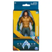 在飛比找蝦皮商城優惠-Aquaman-水行俠2 6吋可動人偶