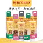 BURT'S BEES蜜蜂爺爺【原食純萃潔齒凝膠】2.5OZ 寵物牙膏 狗狗牙膏 犬用牙膏 寵物凝膠 狗狗凝膠 犬凝膠