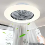Ceiling Fan with Led Lights, 20'' Modern Ceiling Fan with Remote（battery-free） C