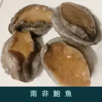 在飛比找蝦皮購物優惠-《賣魚仔》南非活鮑魚 70~90g  90~110g 活體鮑