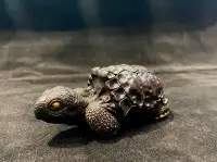 在飛比找Yahoo!奇摩拍賣優惠-小龜 烏龜 福壽延年 鹿角雕刻