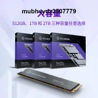 在飛比找露天拍賣優惠-SOLIDIGM P44 Pro 2TB SSD固態硬盤M.