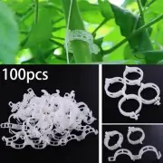 Effective Tomato Veggie Garden Support Clips for Trellis (60 characters)