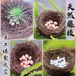 🐦 高品質 天然植物藤枝編織鳥窩 細柳藤鳥窩鳥巢 仿真鳥蛋 仿真鳥窩 假鳥蛋 手工藤編鳥巢 多肉空氣鳳梨栽培介質