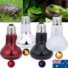 25/50/60/75/100W UVA Lamp Amphibian Bird Light Heat Reptile Bulb Snake Day Night