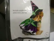 Anit Accessories Scary Witch Dog Costume ~ Large ~ Halloween
