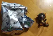 Tokidoki MYSTERIO Mermicorno Series 6 Mini Chaser Chase Advent Calendar