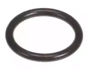 109000252 Rinnai O-Ring