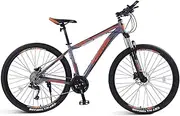 Racing Version of The Bushelshan Bicycle Bicycle