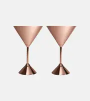 [Tom Dixon] Tom Dixon Plum set of 2 martini glasses