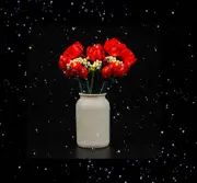 Brick Shine - Light Kit for LEGO® Bouguet of Roses 10328