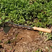 Garden Hoe Tool Wedding Gardening Seeding Digging Lawn Steel Hand Hoe Weeder