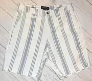 American Eagle OUTFITTERS NE(X)T LEVEL FLEX STRIPED BLUE WHITE SHORTS SLIM 30