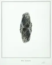 MIGUEL ANGEL BLANCO Spanish artist 2003 original signed digital print n4