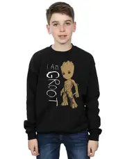 Absolute Cult Marvel Boys Guardians Of The Galaxy I Am Groot Scribbles Sweatshirt Black 7-8 Years