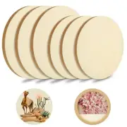 6 Pack Unfinished Round Birch Wood Canvas Panels of 2 Sizes 8''and 12''Studio...