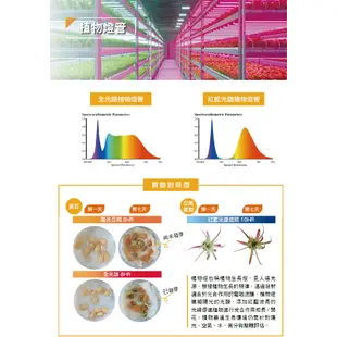 【舞光.LED】LED T8/2尺/4尺紅藍光譜 植物燈管 促進開花上色【實體門市保固兩年】T8燈管 LED燈管 植物燈