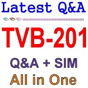 Salesforce Trailhead Virtual Bootcamp for New Admins TVB-201 Exam Q&A