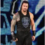 [美國瘋潮]正版WWE ROMAN REIGNS BIG DOG UNLEASHED REPLICA VEST 戰術背心