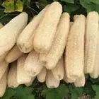 10 Pack Natural Loofah Sponges Organic Luffa Bath Shower Sponge Exfoliating Body