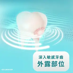 Colgate高露潔 抗敏長效防護薄荷牙膏 120g 牙膏 潔牙用品【金興發】