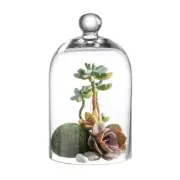 KMwares Clear Glass Display Dome Cloche Bell Jar Tabletop Decorative Case