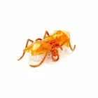 Hexbug 06389 Micro Ant - Orange