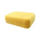 ProPlus Heavy Duty Grouting And Concrete Sponge