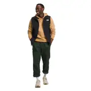 The North Face Mens Apex Bionic 3 Vest